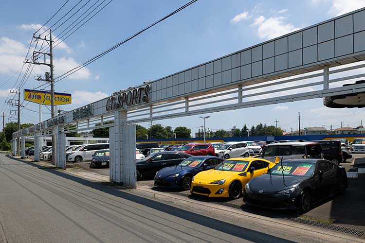 16号本店