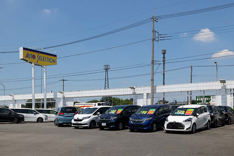 16号本店