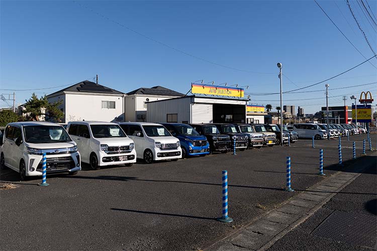17号バイパス店